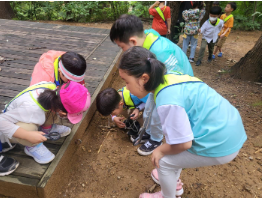 도심 속 자연체험 즐겨요…송파구, 유아숲체험원서 숲 체험프로그램 운영!