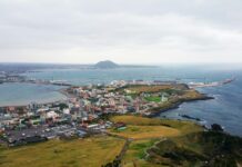 봄, 전국을 걸으며 느끼는 아름다운 산책로