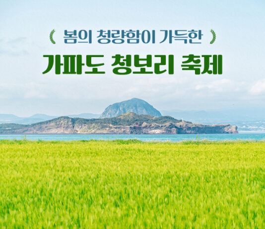 봄의 청량함이 가득한 가파도 청보리 축제