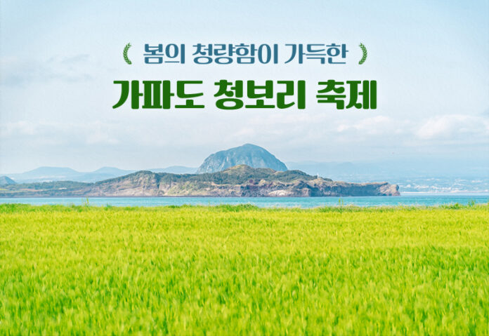 가파도 청보리 축제