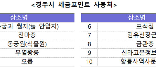 세금포인트로 경주 사적지 관람 할인…국세청·경주시 협약
